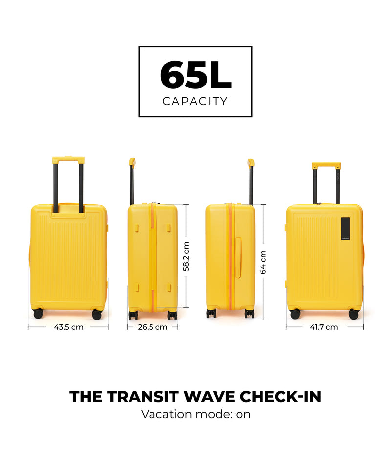 Color_Summer | The Transit Wave - Check-in
