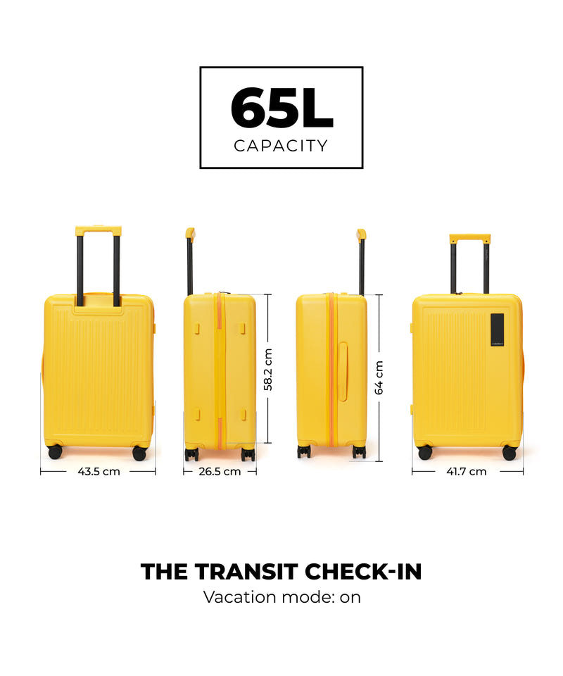 Transit Luggage - Check-in