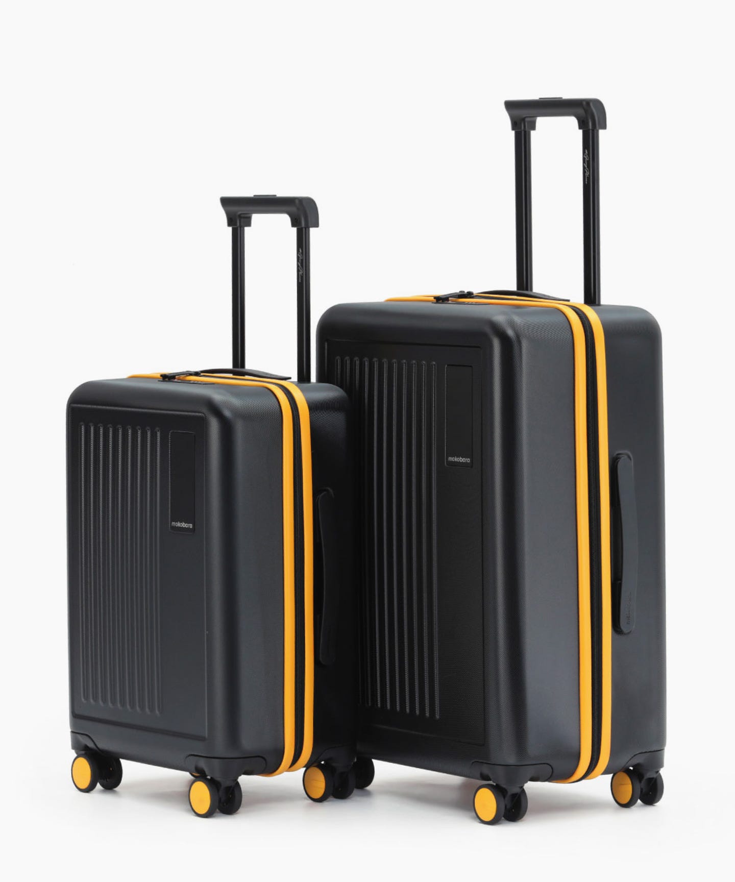 Transit Luggage - Set of 2