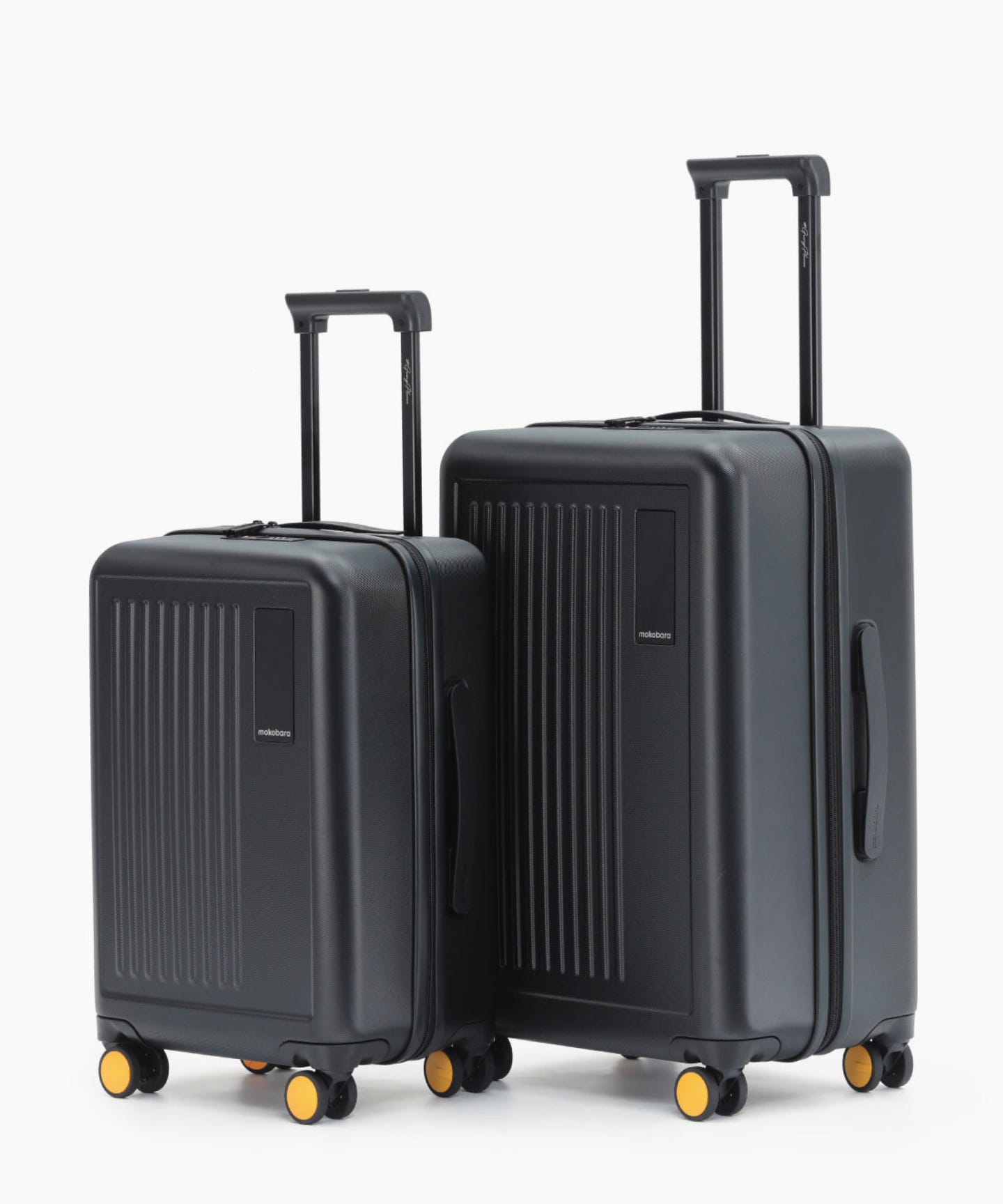 The Transit Luggage - Set of 2