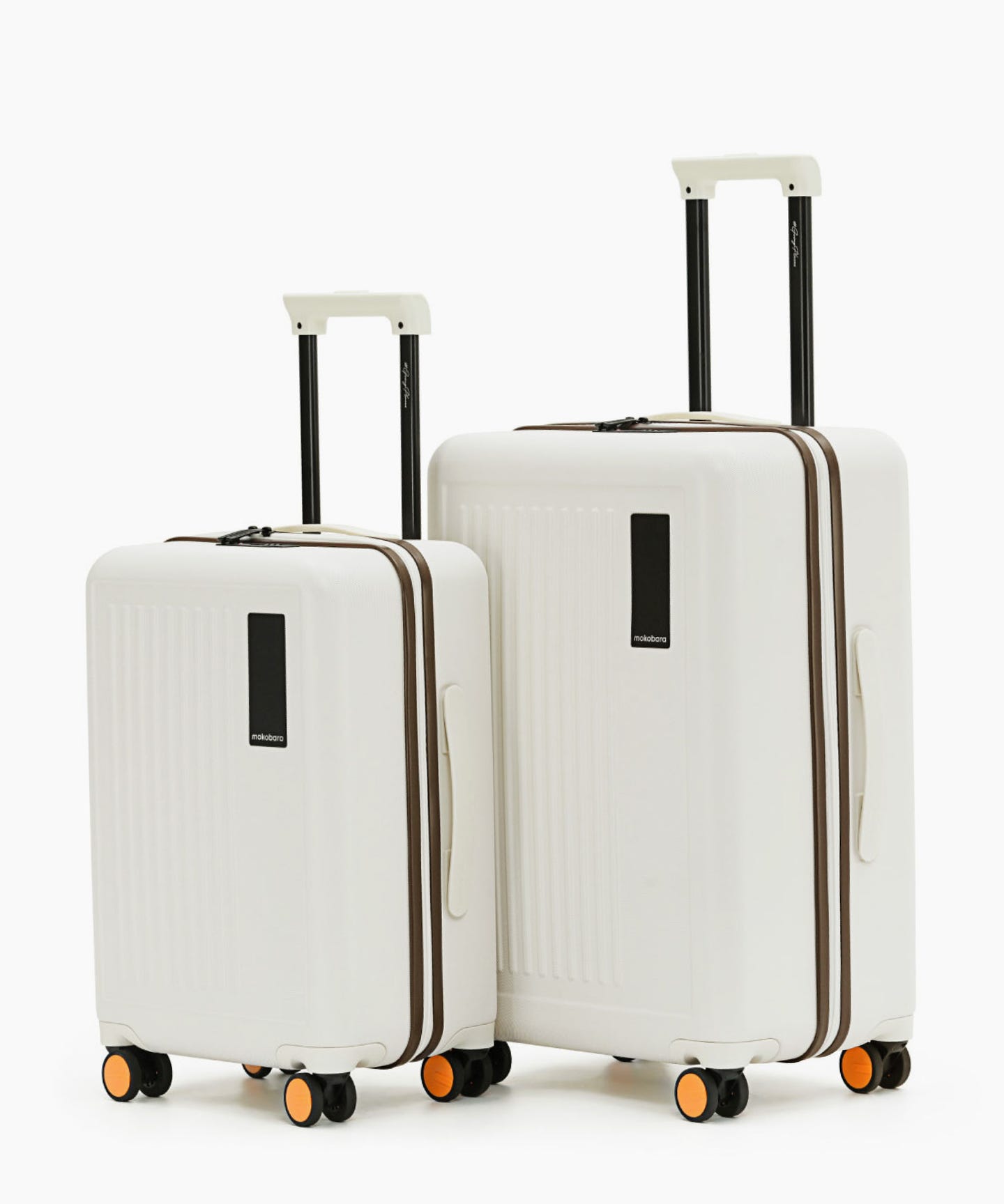 The Transit Luggage - Set of 2