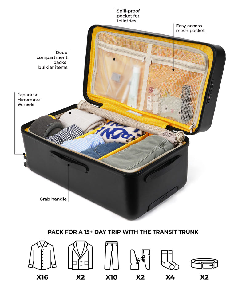 Color_Money Moves Sunray (Limited Edition) | The Transit Trunk