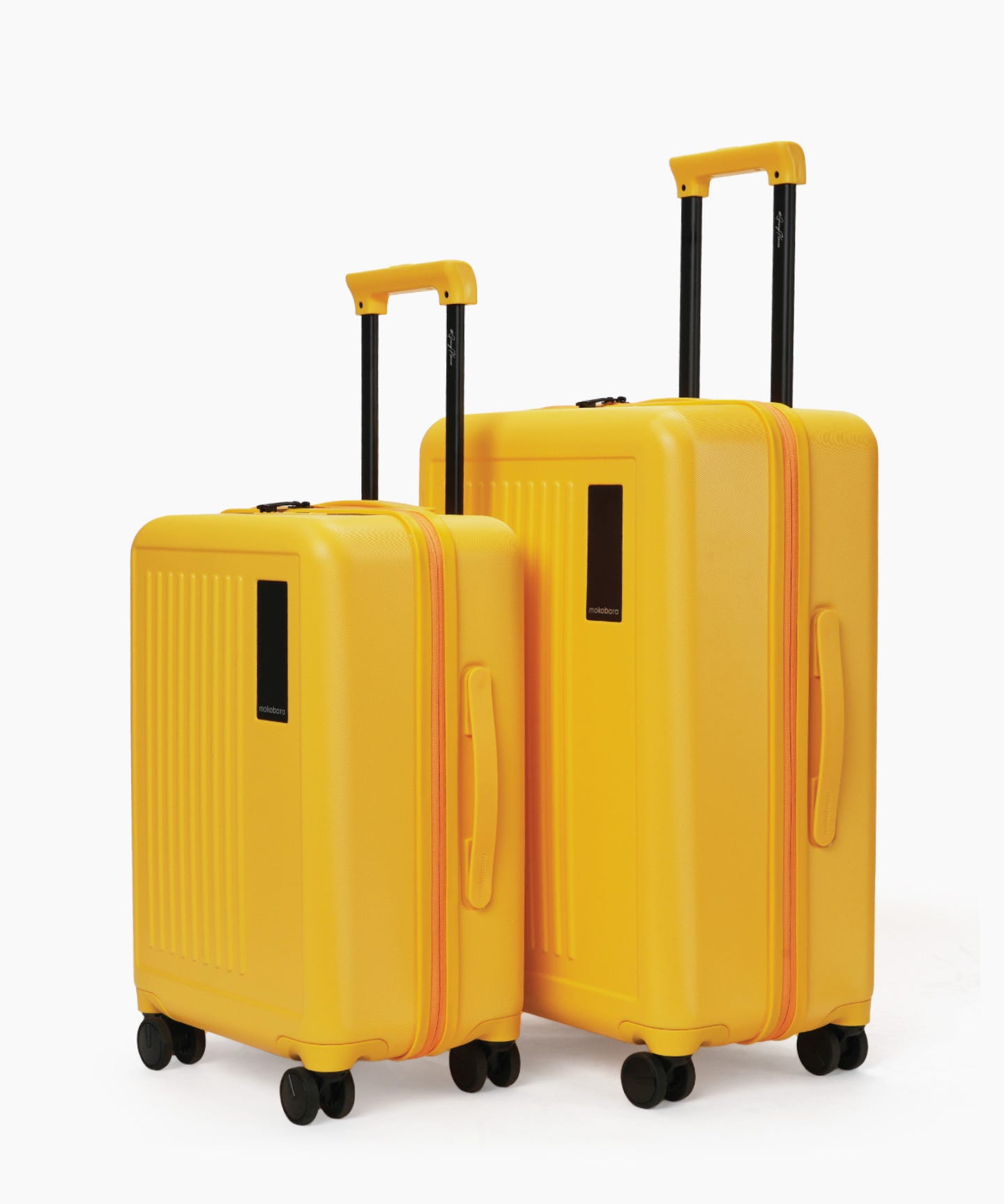 The Transit Wave - Set of 2