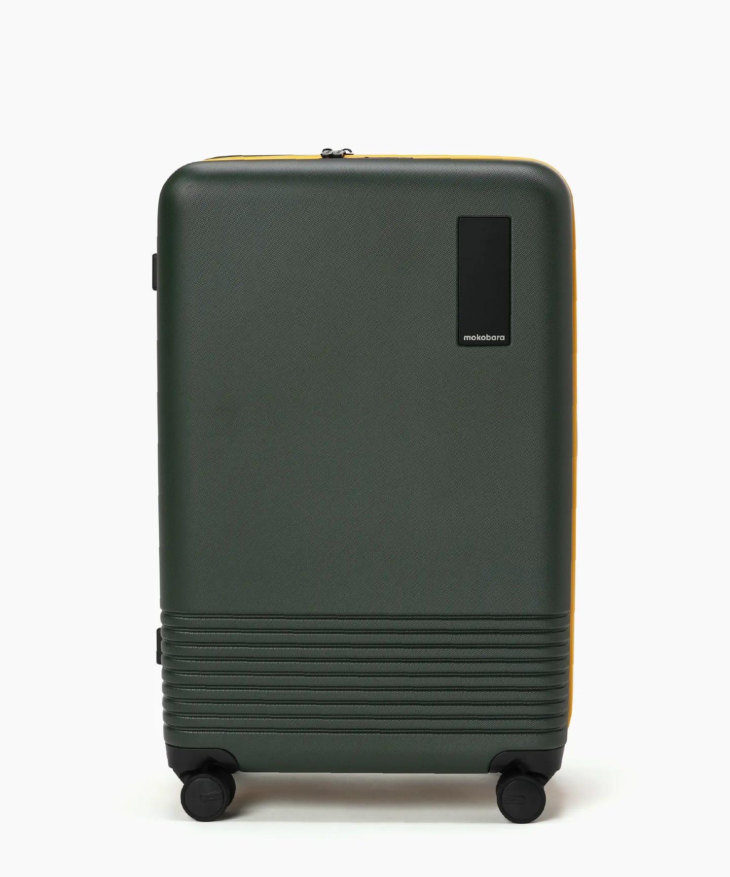 The Check-in Luggage