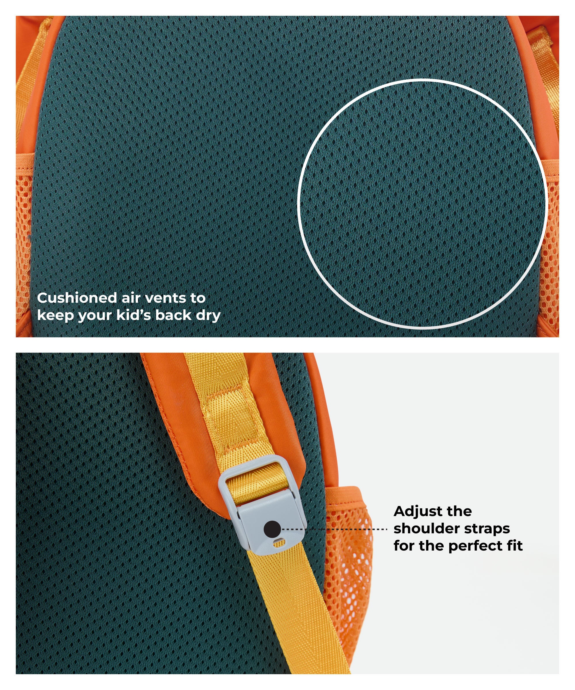 Color_Turbo Turtle | The Dim Sum Backpack - 10L