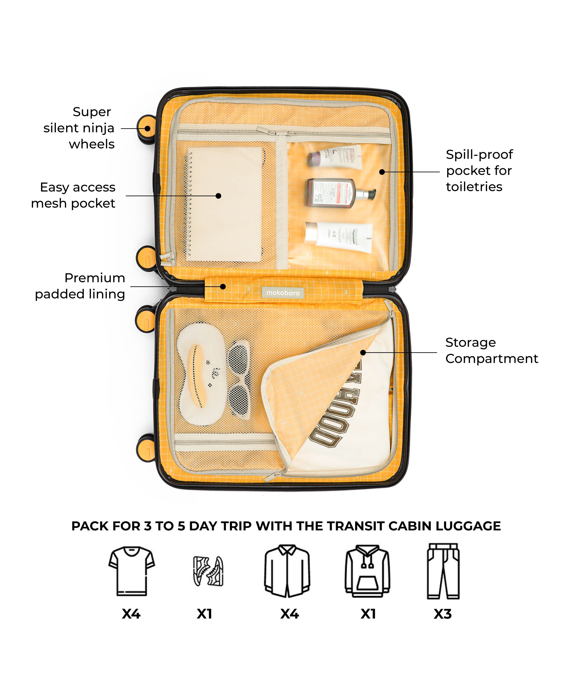 Color_Crypto 2.0 | The Transit Luggage - Cabin