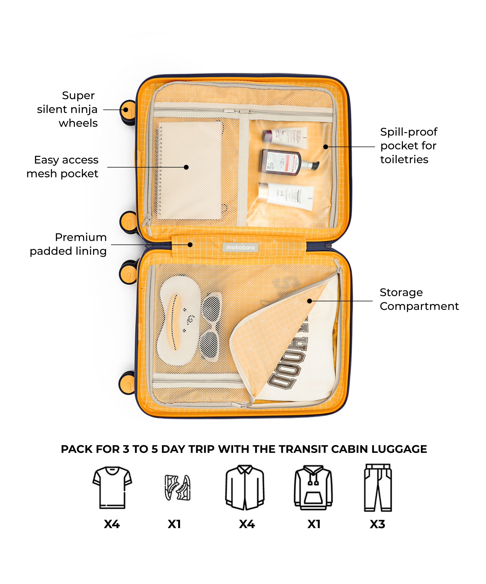 Color_ We meet Again Sunray 2.0 | The Transit Luggage - Cabin