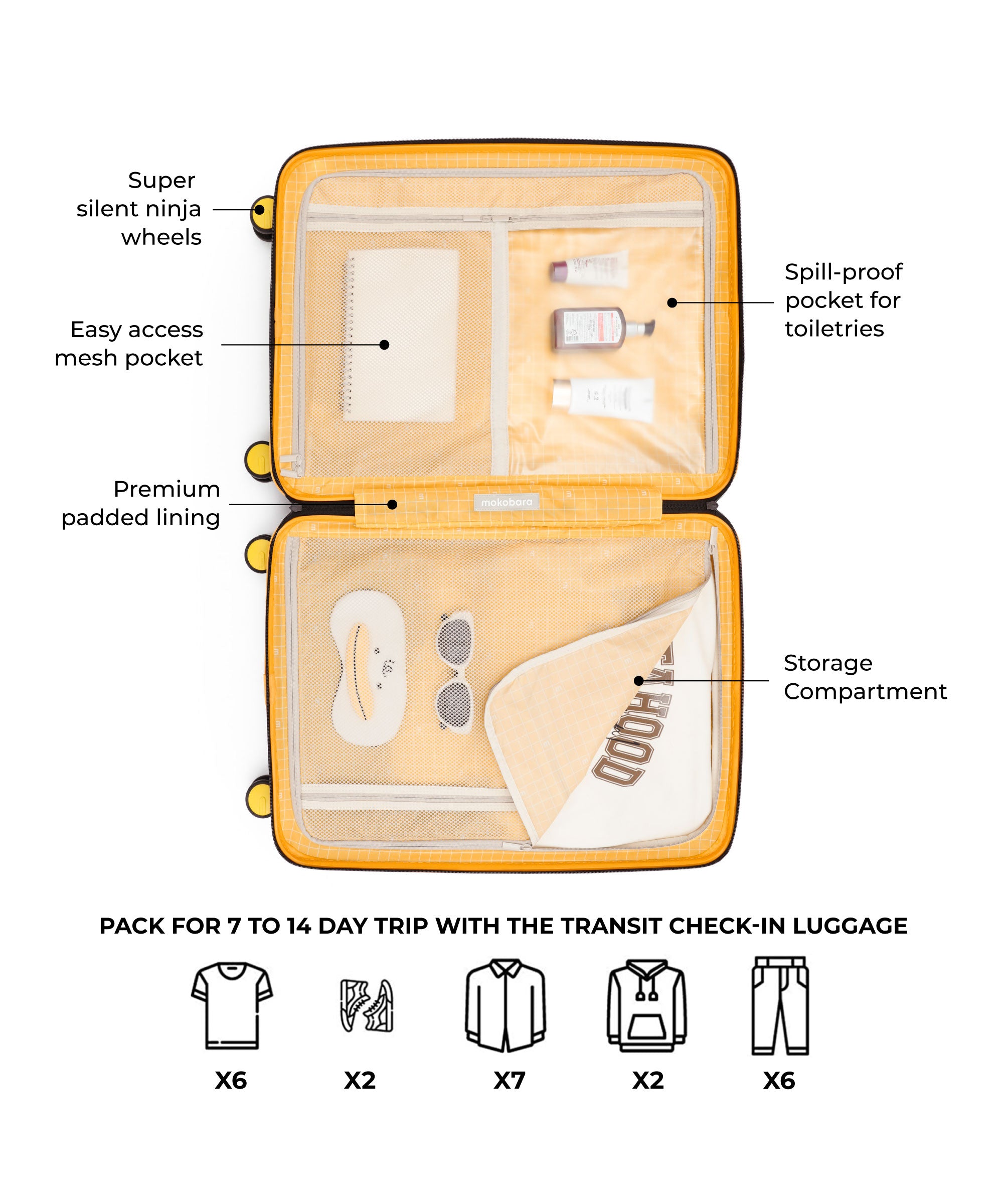 The Transit Luggage - Check-in