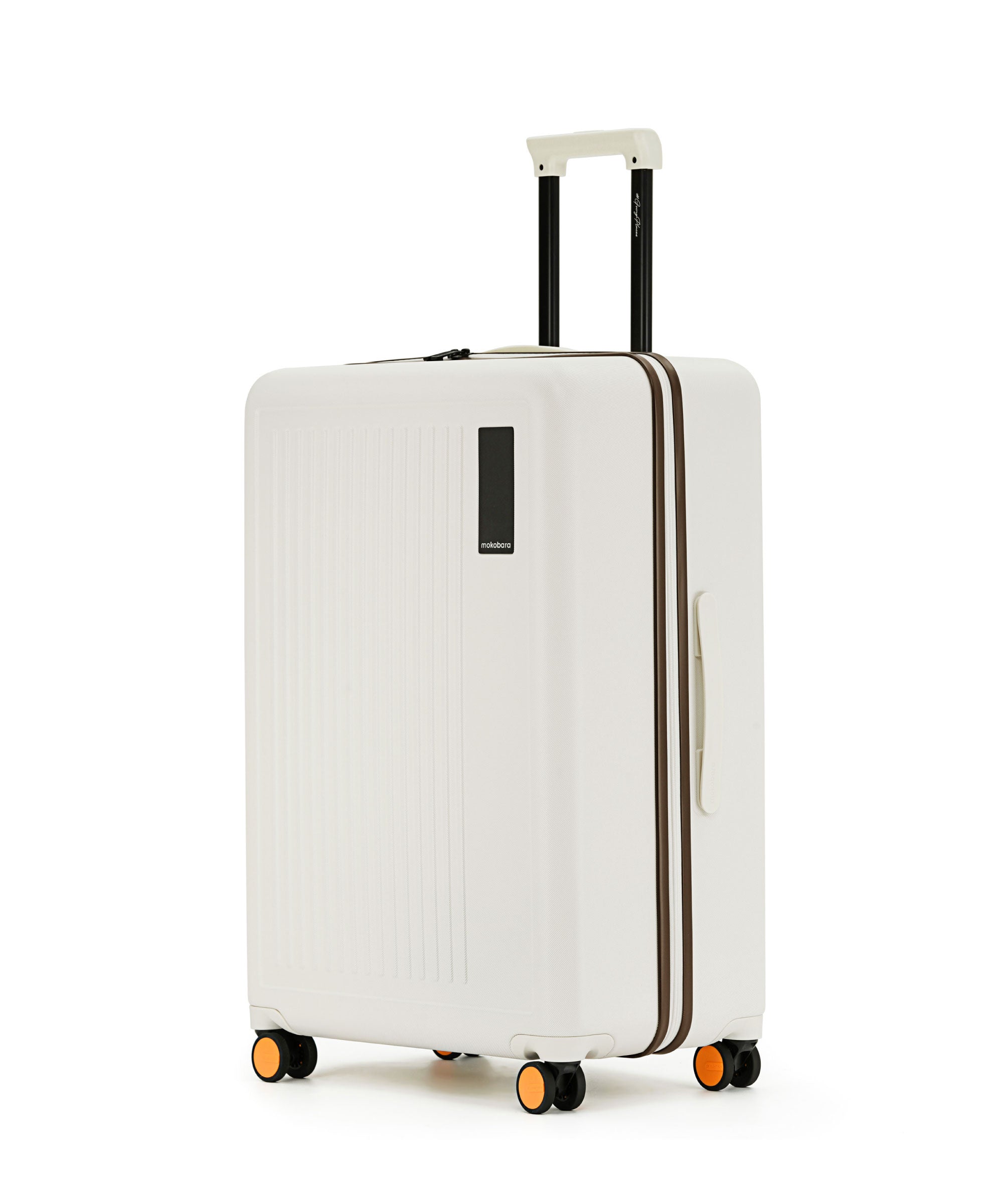 Color_Still Loading Brownray | The Transit Luggage - Check-in Large