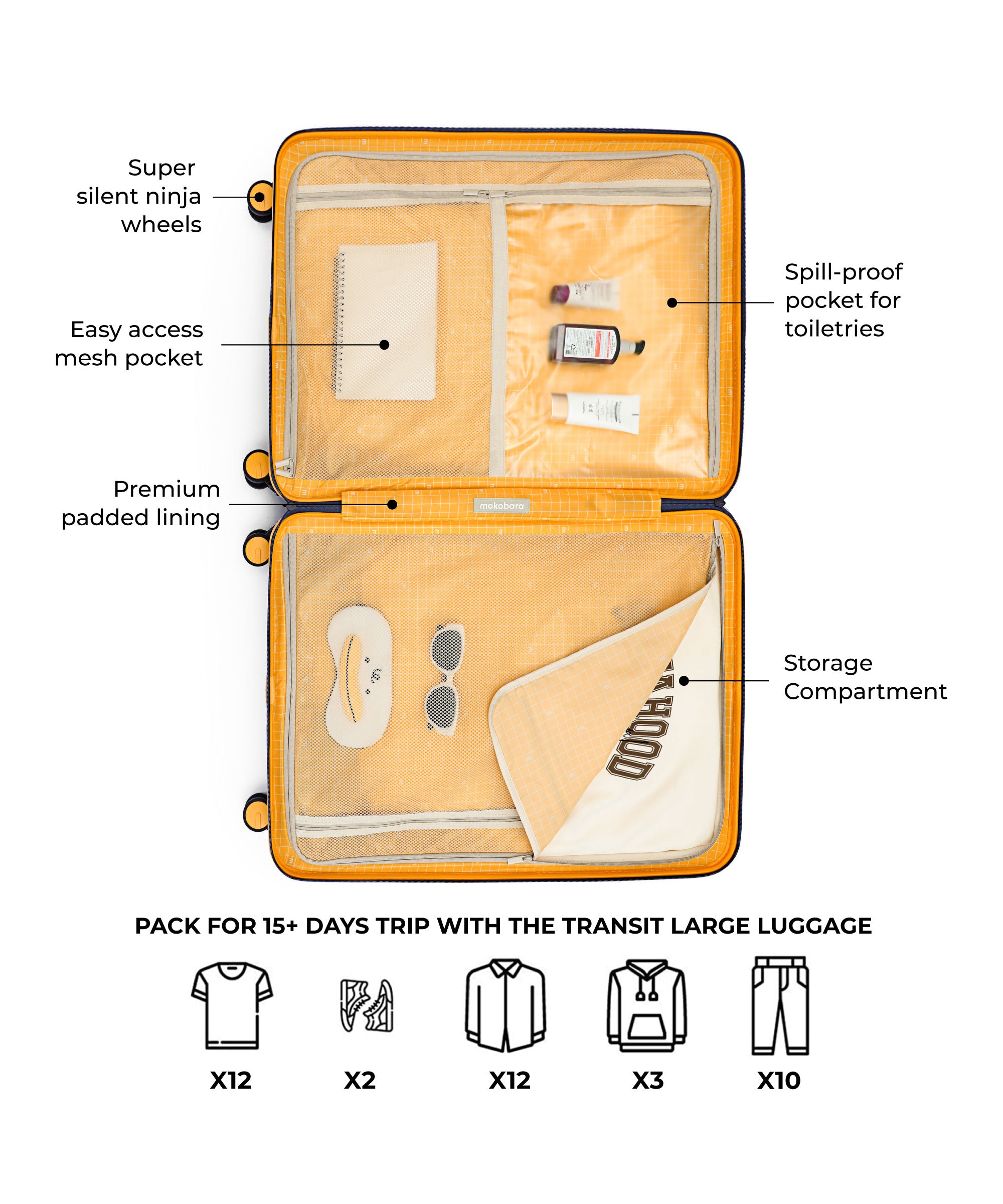 Color_ We meet Again Sunray 2.0 (Limited Edition) | The Transit Luggage - Check-in Large