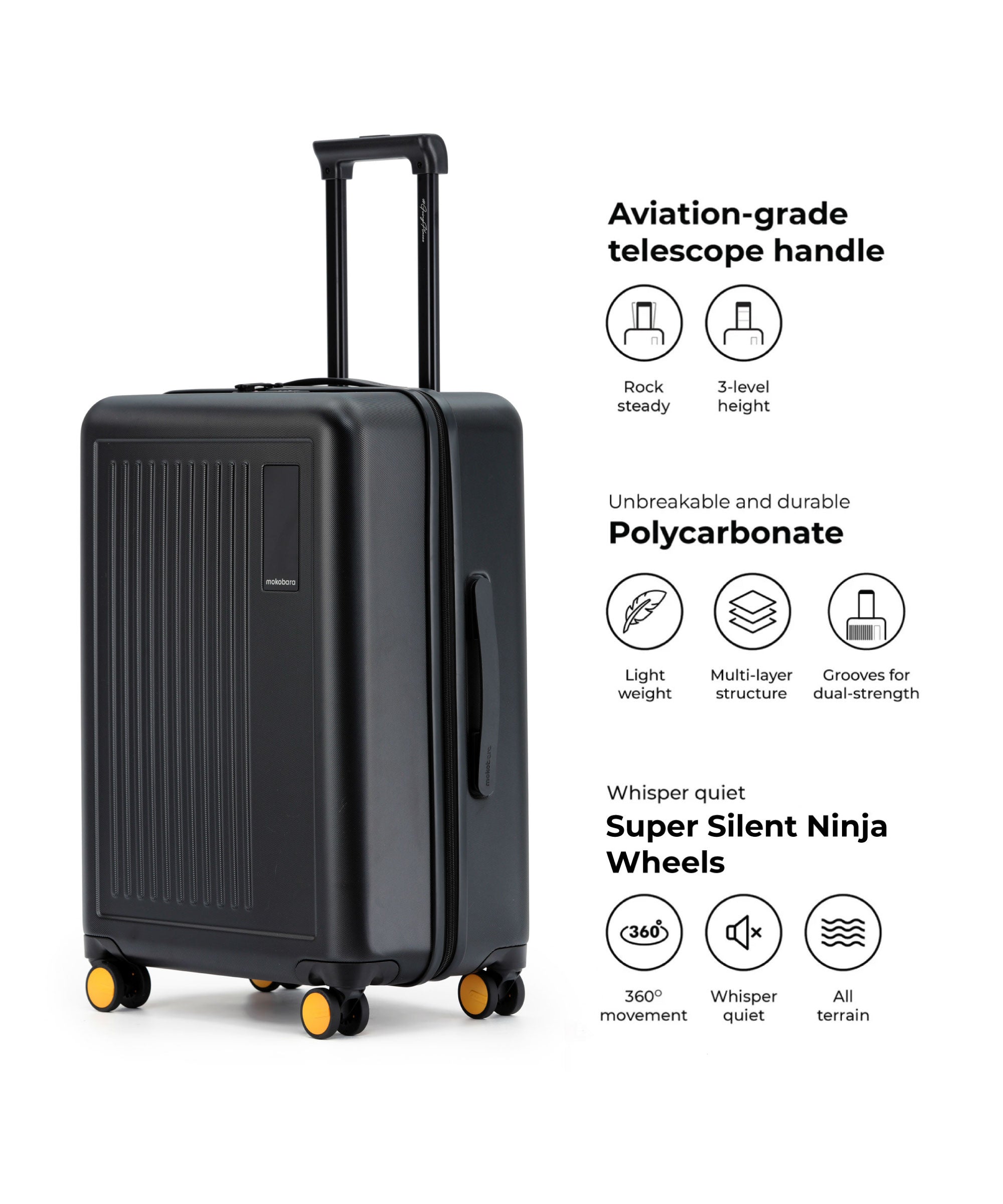 Color_Crypto 2.0 | The Transit Luggage - Set of 2