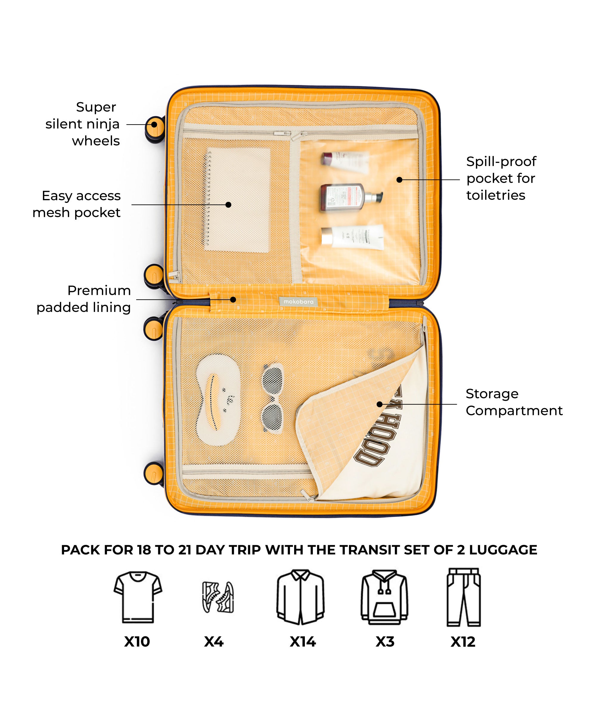 Color_We meet Again Sunray 2.0 | The Transit Luggage - Set of 2