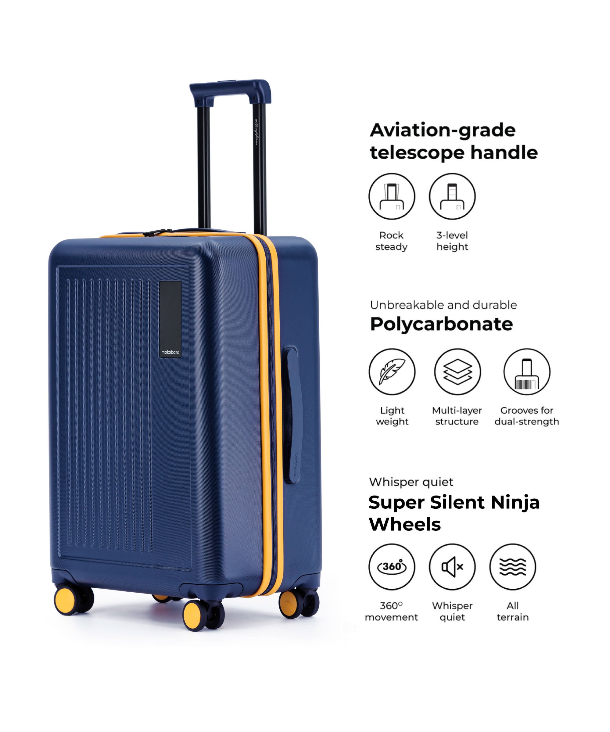 Color_ We meet Again Sunray 2.0 | The Transit Luggage - Set of 3