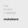 Color_Out of the Blue | The Aviator Set of 2 Luggage