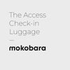 Color_Ocean Sunray | The Access Check-in Luggage