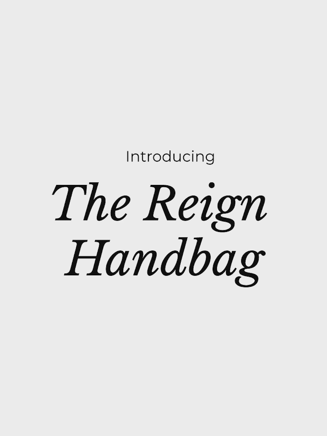 Color_Starlight | The Reign Handbag