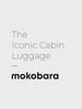 Color_Space Blue | The Cabin Luggage