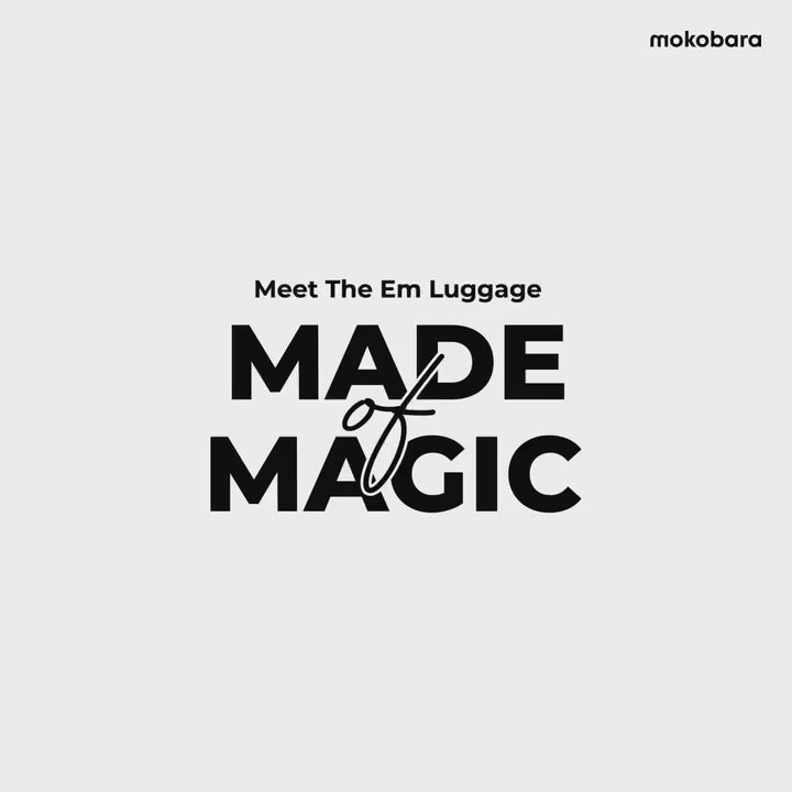 Color_We Meet Again | The Em Cabin Luggage