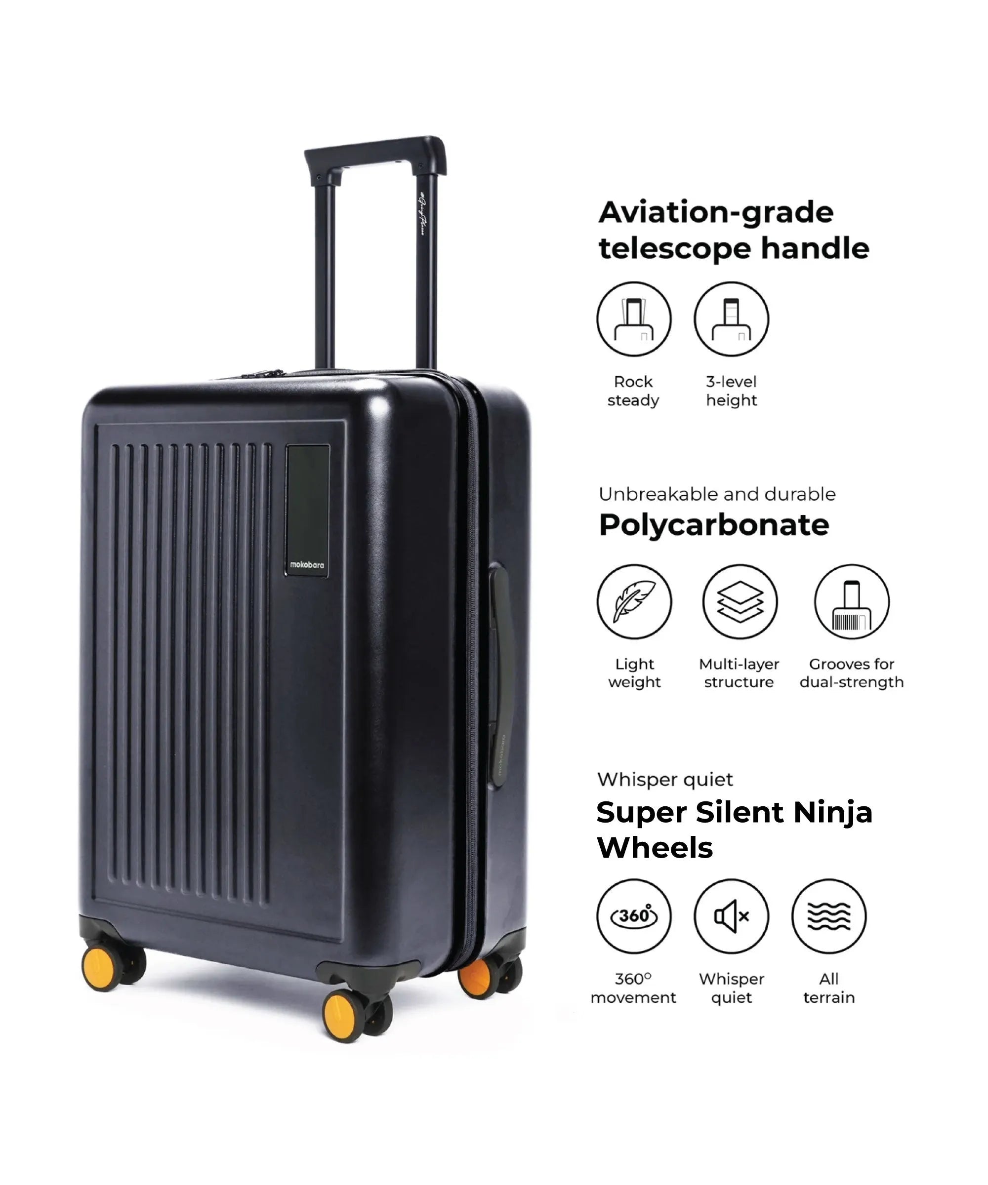 Color_Crypto | The Transit Luggage - Set of 2
