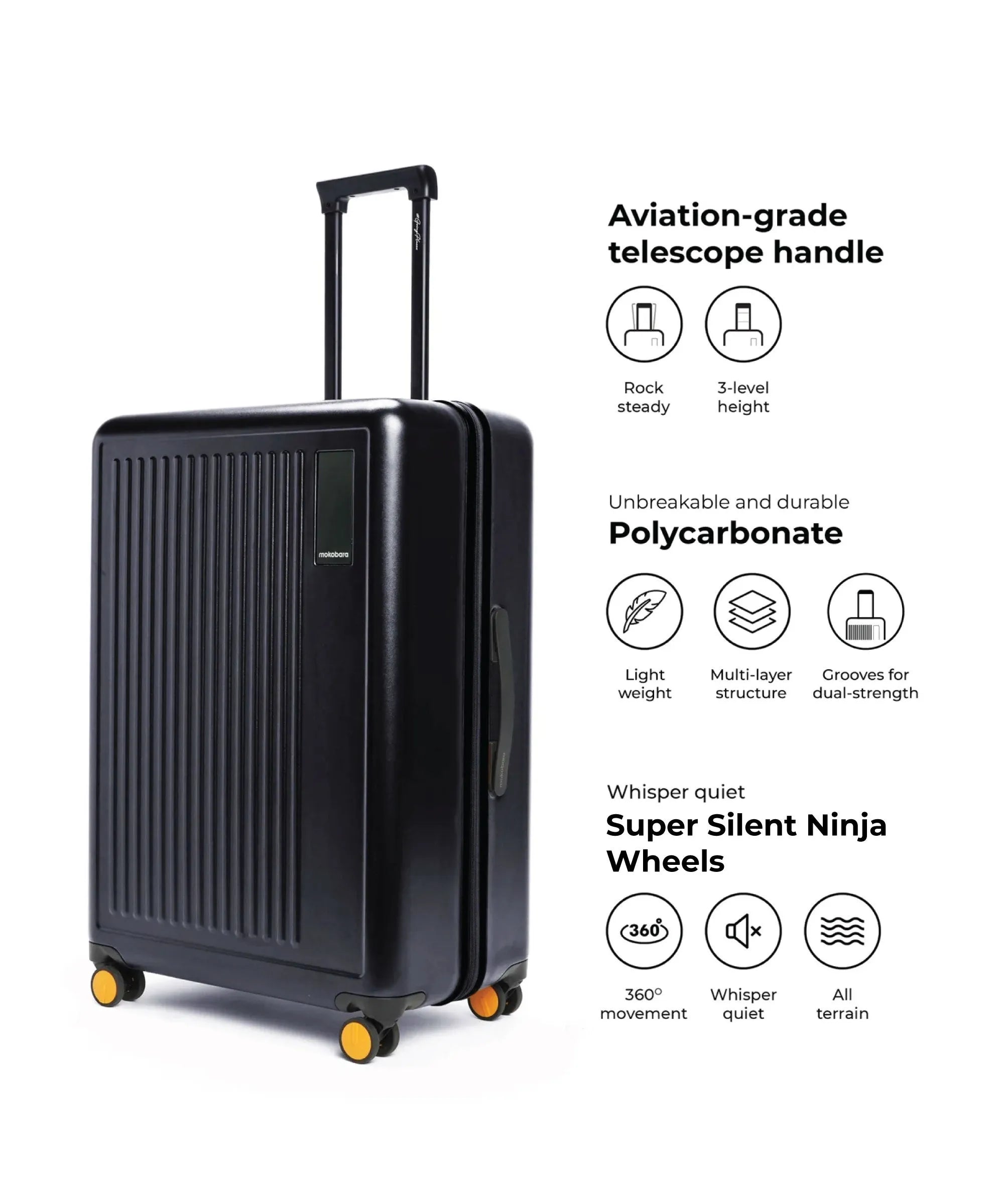 Color_Crypto | The Transit Luggage - Set of 3