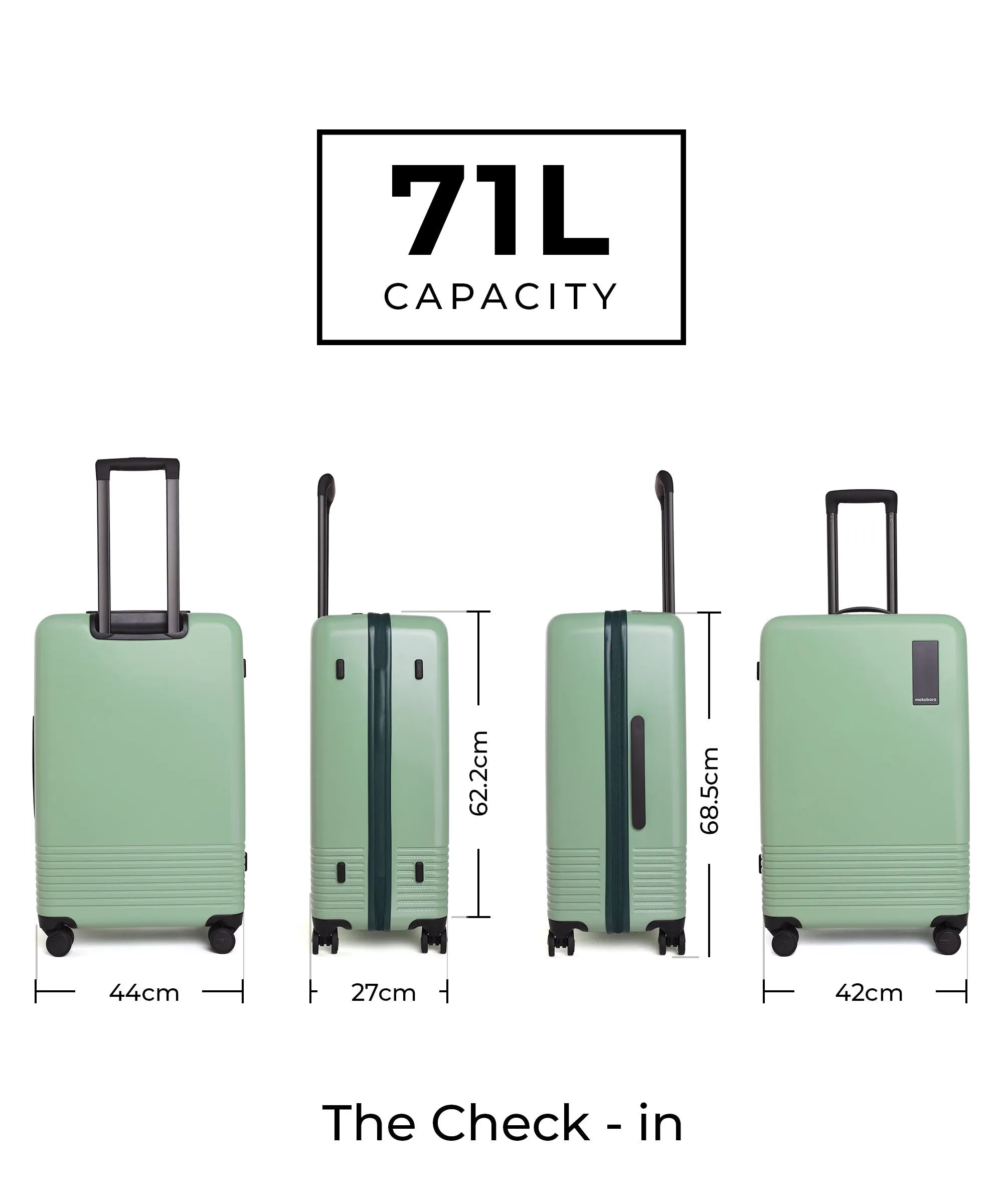 Color_Timeless Greenray (Limited Edition) | Set of Two Luggage