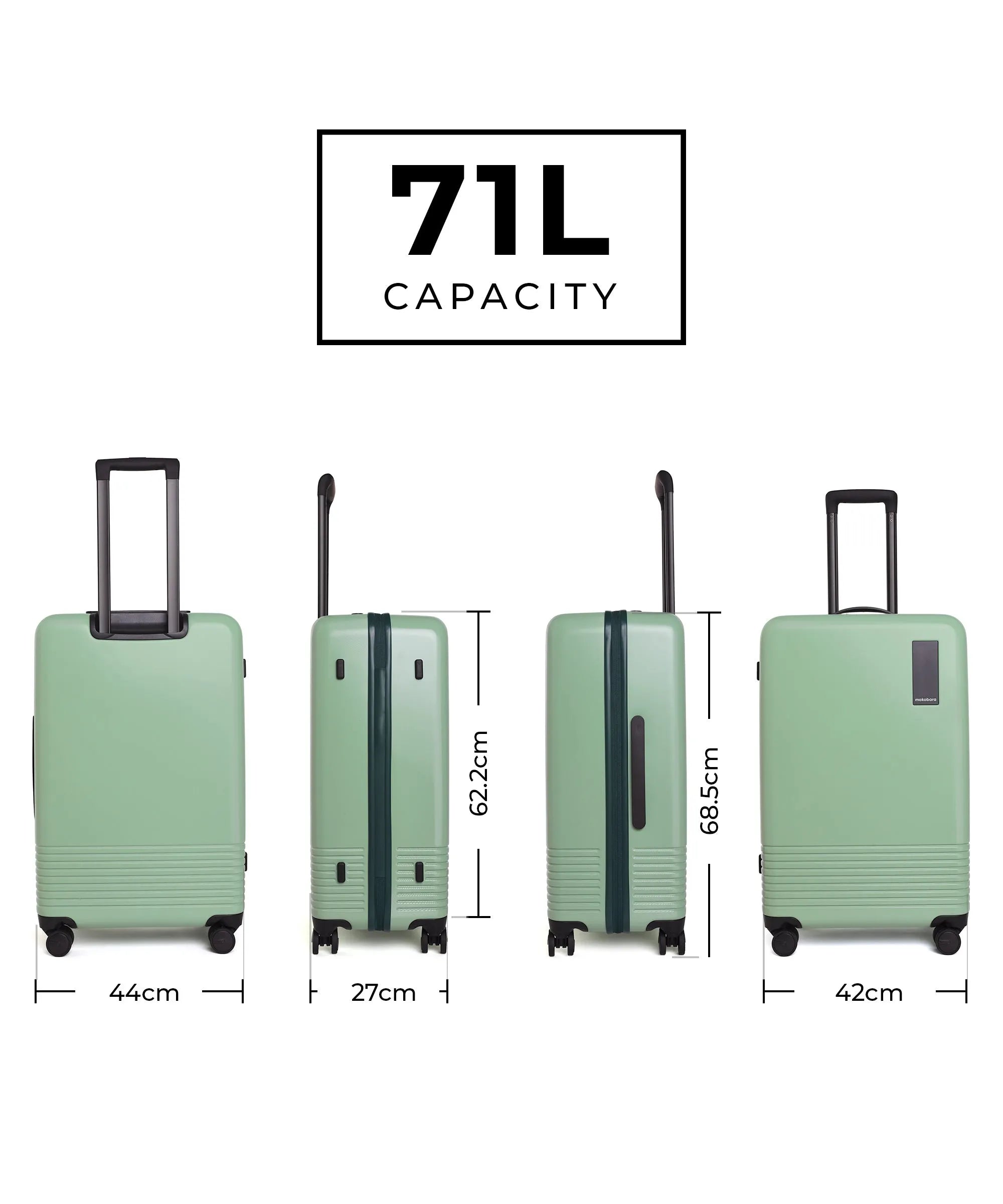 Color_Timeless Greenray (Limited Edition) | The Check-in Luggage