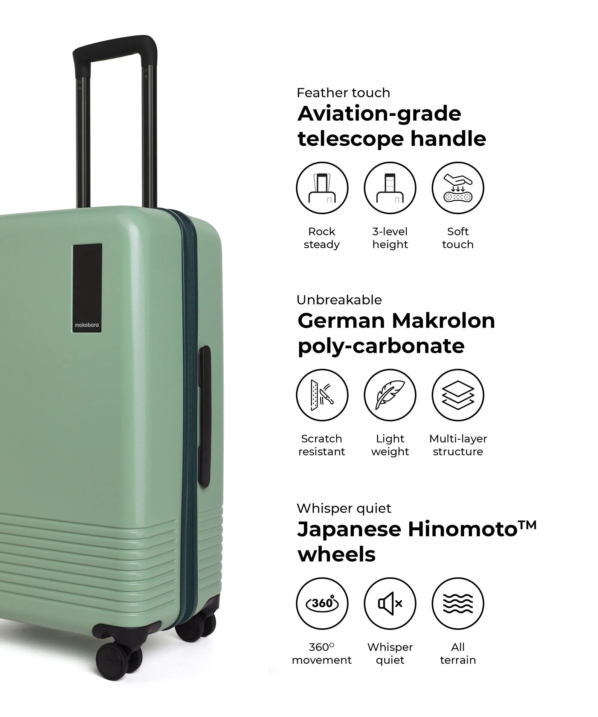 Color_Timeless Greenray (Limited Edition) | The Check-in Luggage