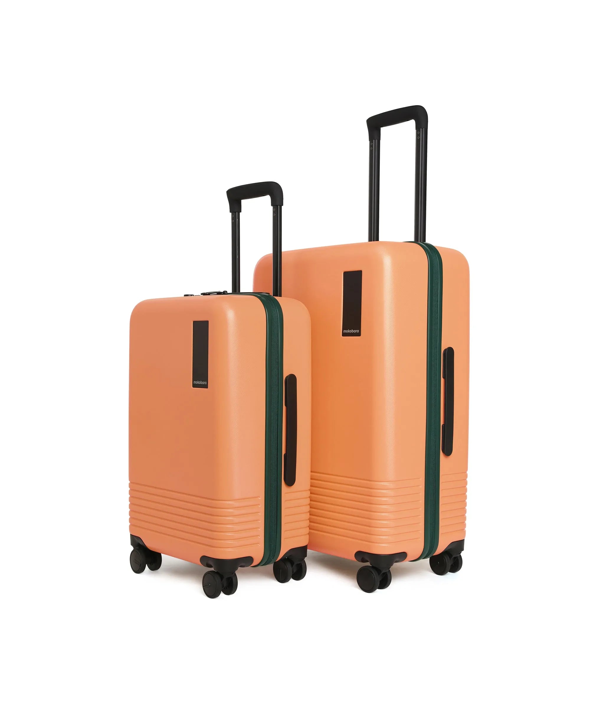 Color_Wild Flower Greenray (Limited Edition) | Set of Two Luggage