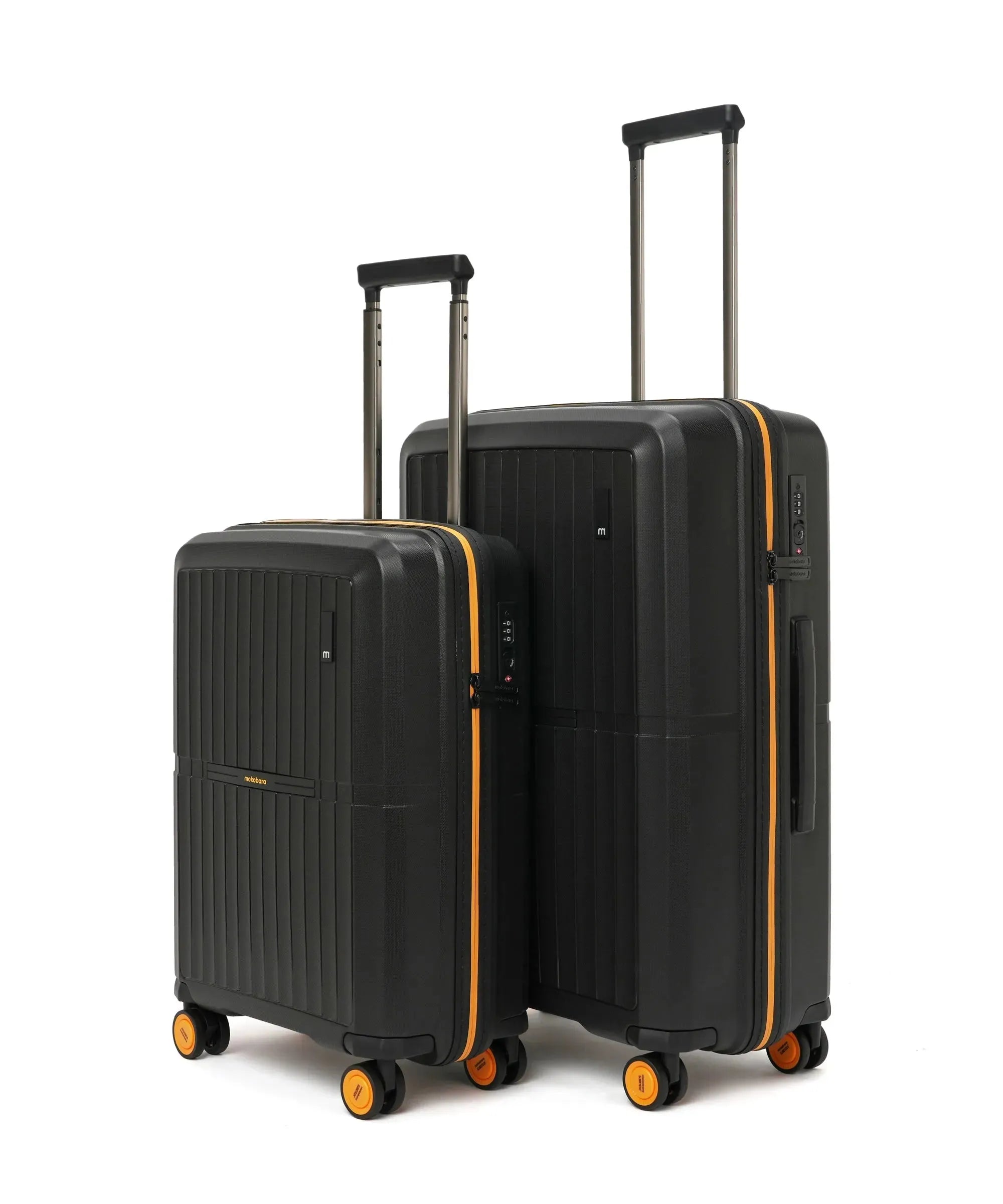 The Aviator Set of 2 Luggage