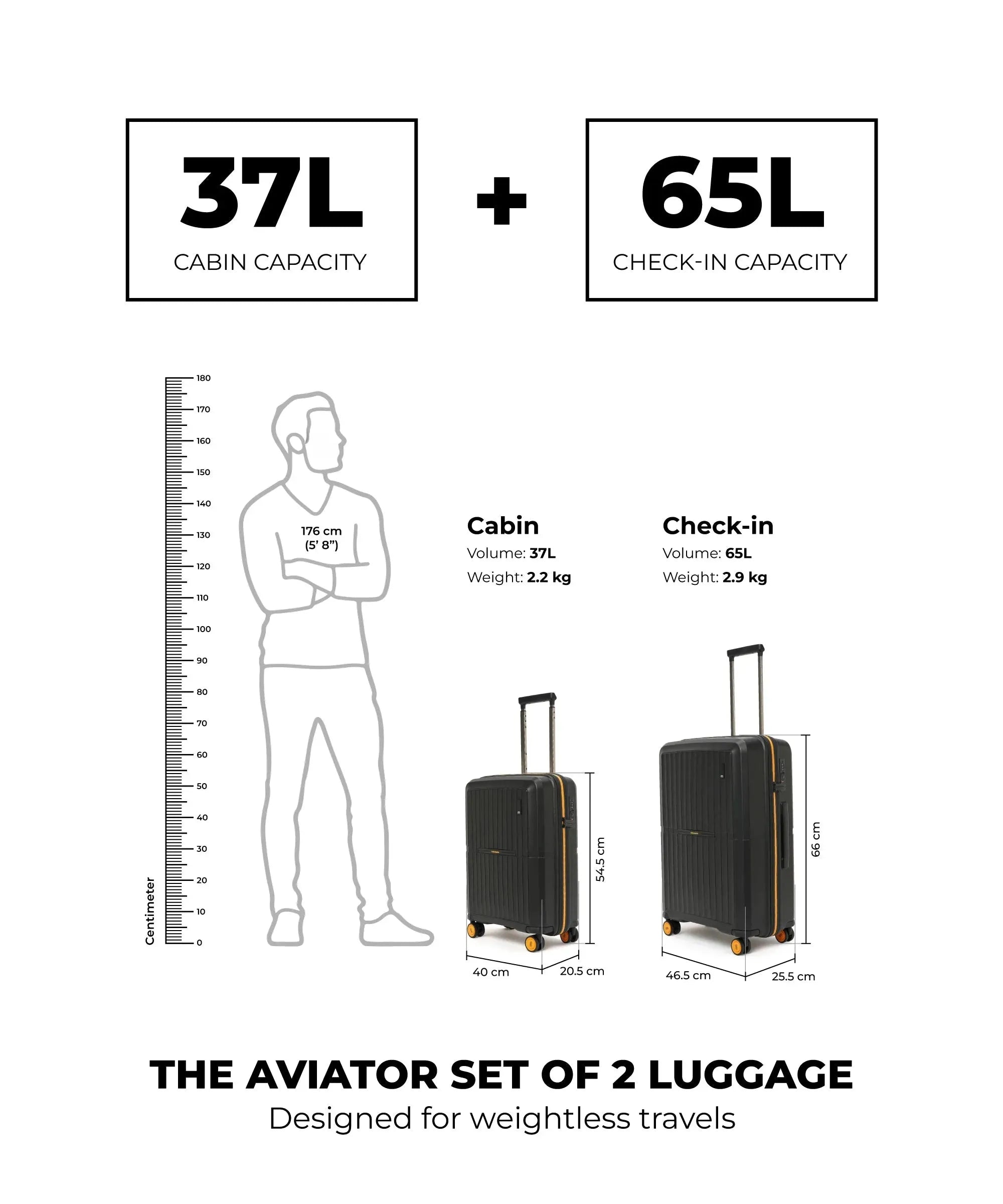 Color_Crypto | The Aviator Set of 2 Luggage