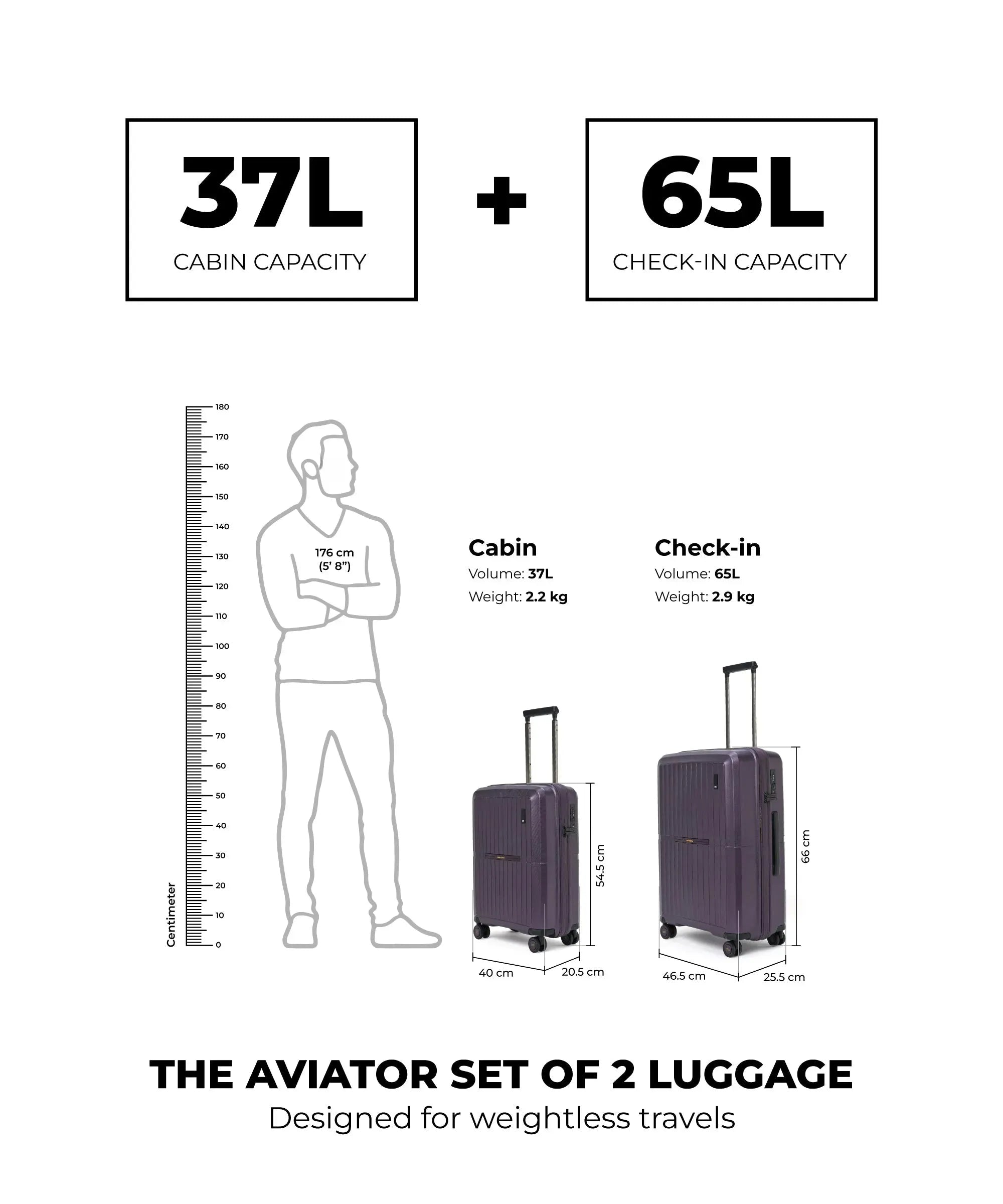 Color_Dark Matter | The Aviator Set of 2 Luggage