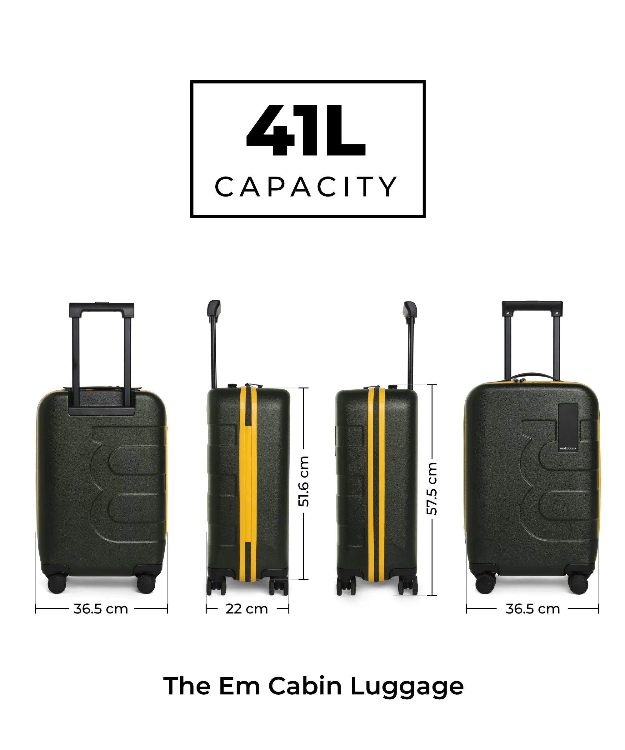 Color_4AM Forest Sunray (Limited Edition) | The Em Cabin Luggage