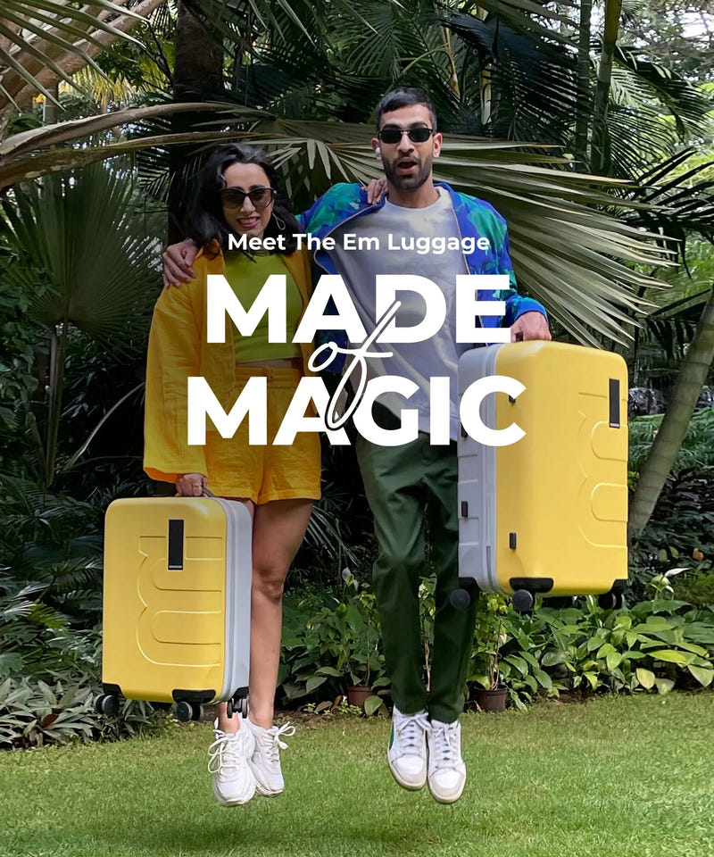 Color_ {{ variants_option }} | The Em Set of 2 Luggage