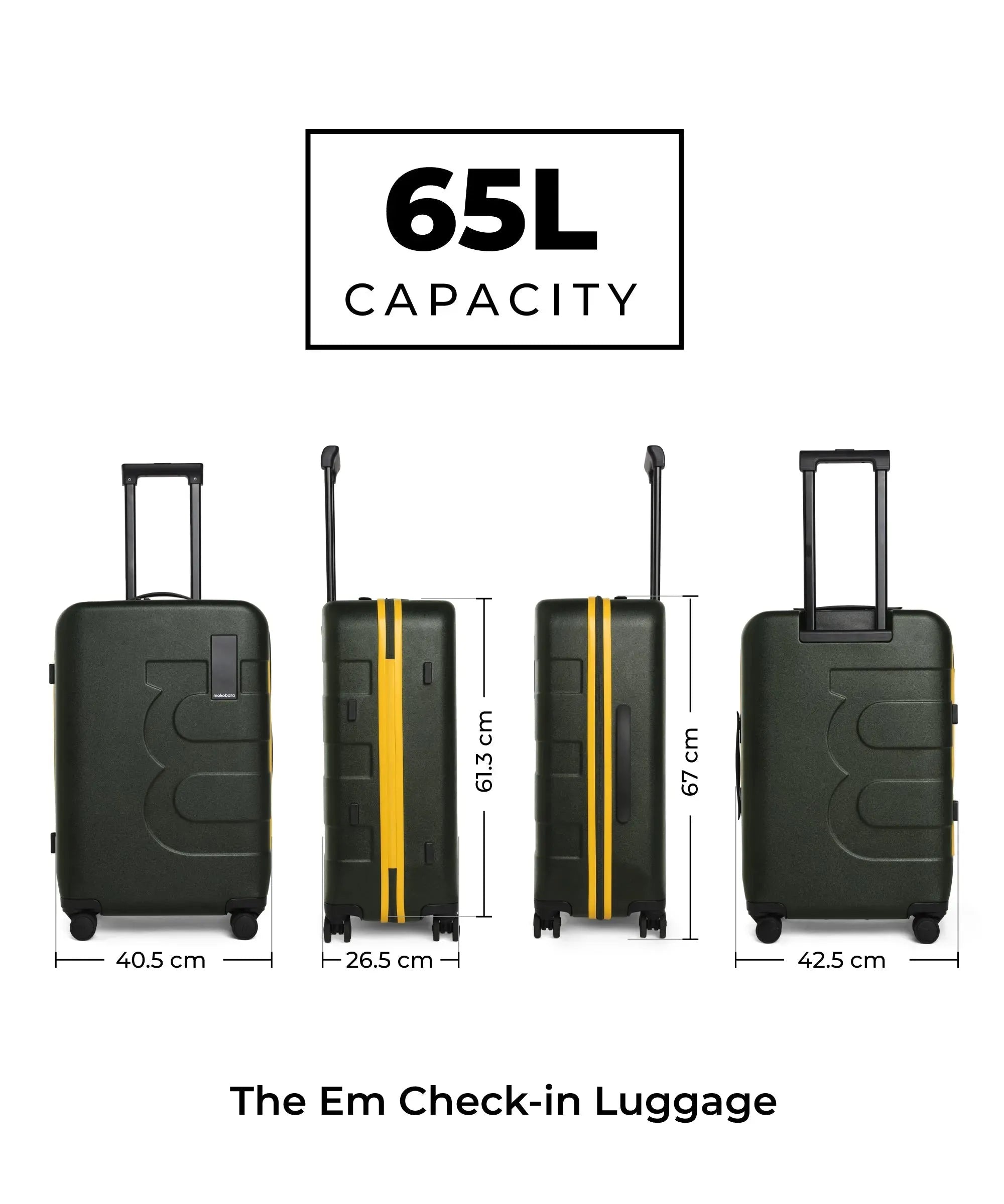 Color_4AM Forest Sunray (Limited Edition) | The Em Set of 2 Luggage
