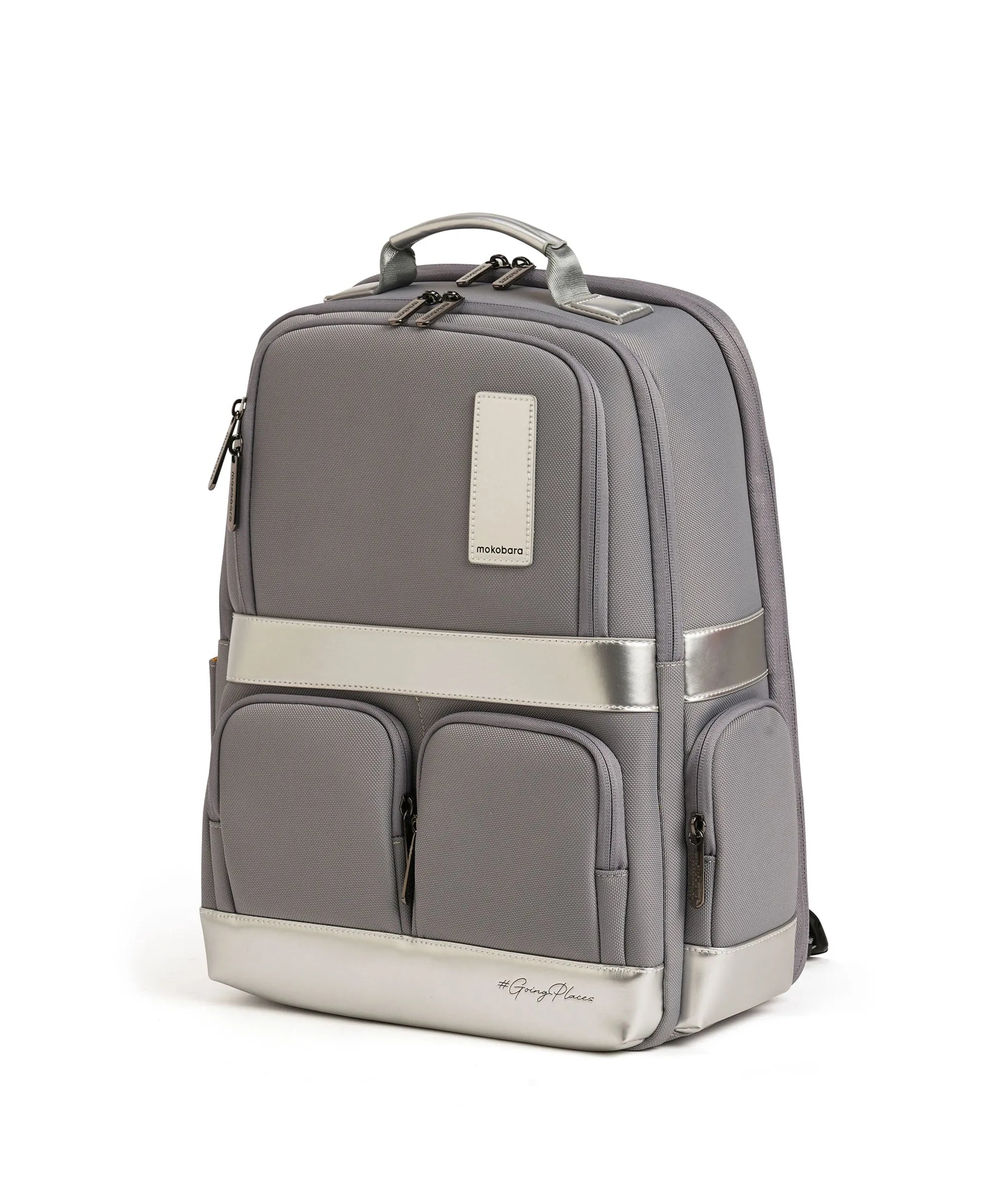 Color_ Reflection Day | The Terra Work Backpack