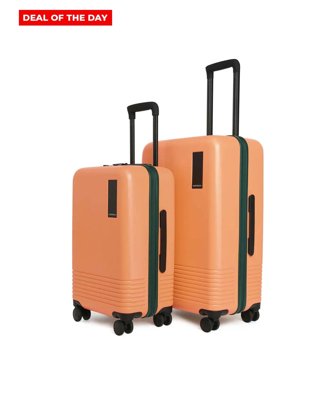 Set of 2 Luggage